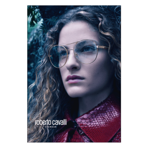 ROBERTO CAVALLI